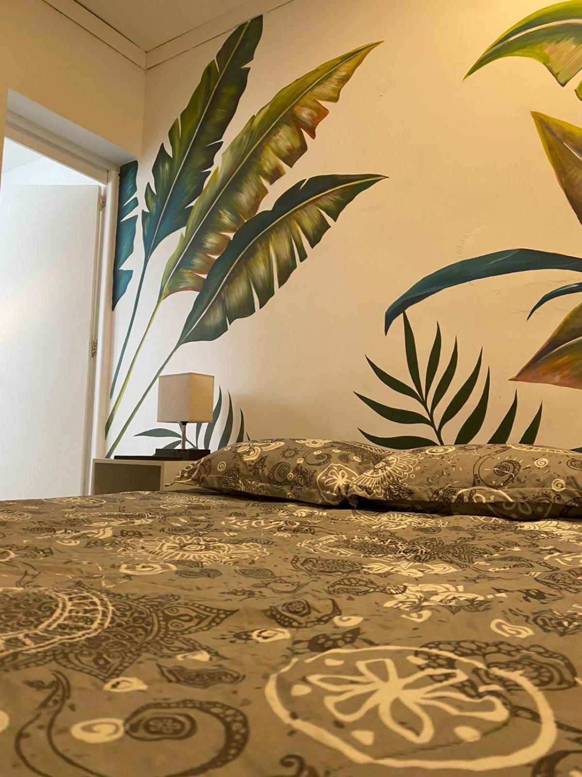 Baku Laureles Hostel 메딜린 외부 사진